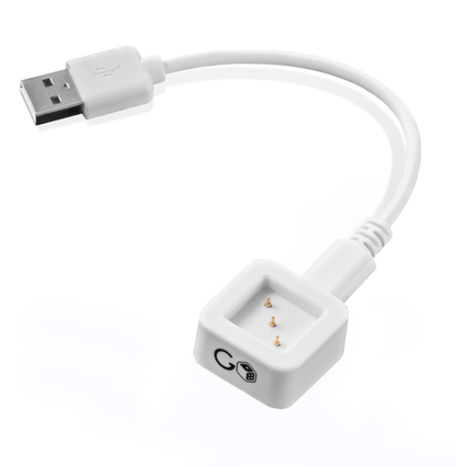 GoDice USB Charger